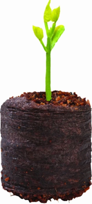 Coir Growing Pellets 50Pk - image 1