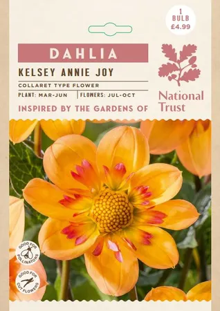 Dahlia Kelsey Annie Joy