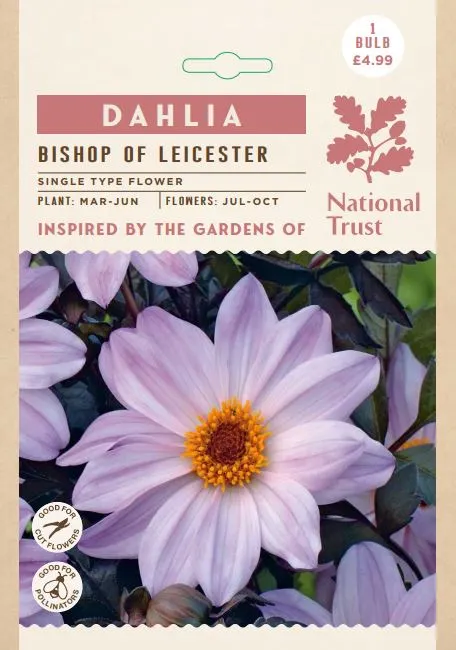 Dahlia Bishop of Leicester