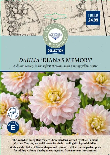 Dahlia Dianas Memory - image 1