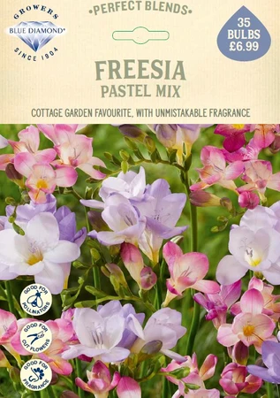Freesia Pastel Mix