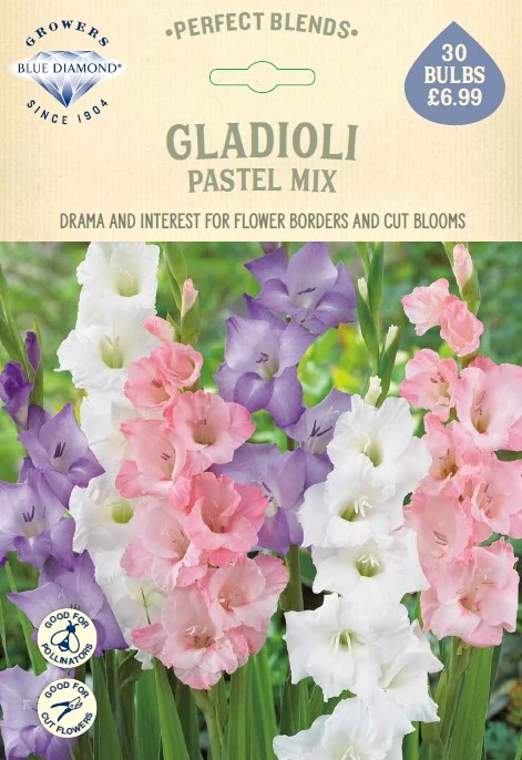 Gladioli Pastel Mix - image 1