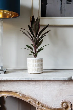 Scratch Pot 16cm