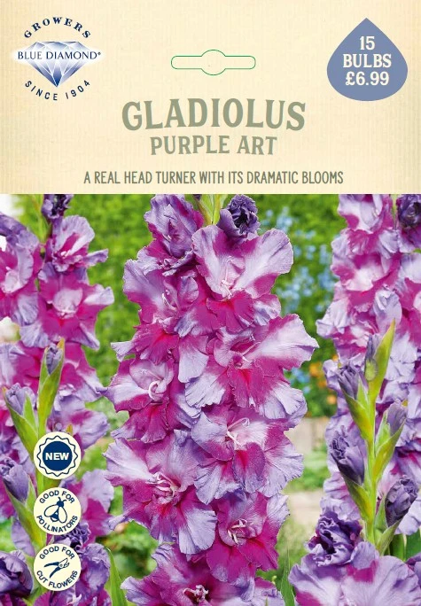 Gladioli Purple Art