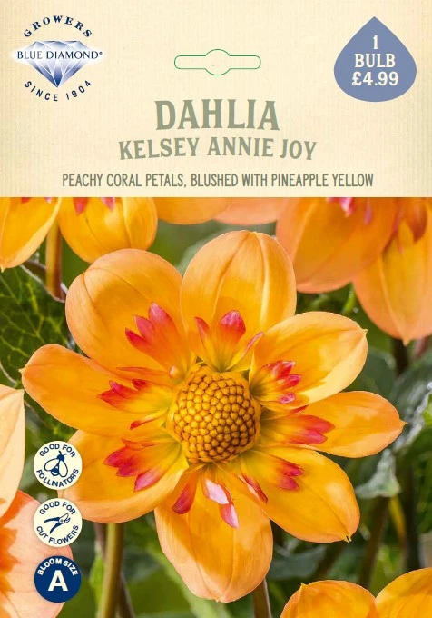 Dahlia Kelsey Annie Joy