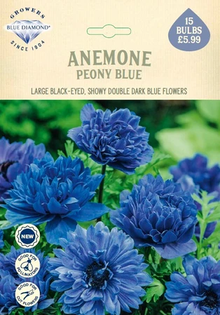 Anemone Peony Blue