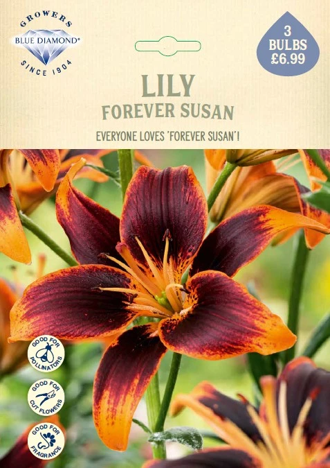 Lilium Forever Susan - image 1