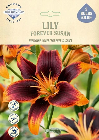 Lilium Forever Susan