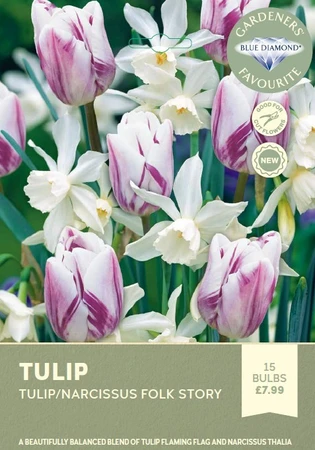 Tulip & Narcissus Folk Story