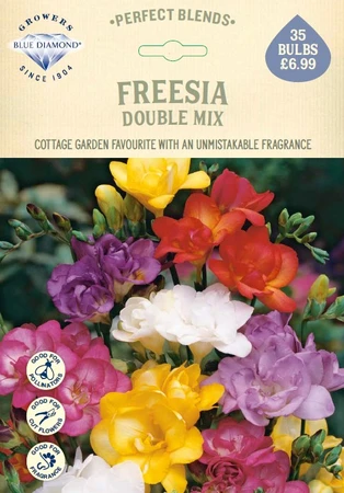 Freesia Double Mix