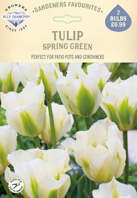Tulip Spring Green GF