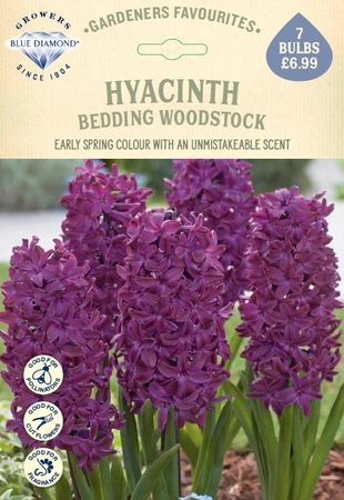 Hyacinth bedding Woodstock GF