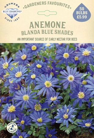 Anemone Blanda Blue Shades GF