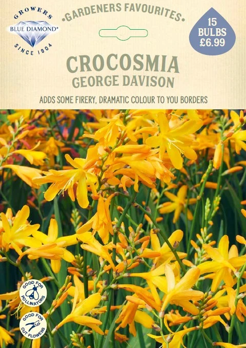 Crocosmia George Davison