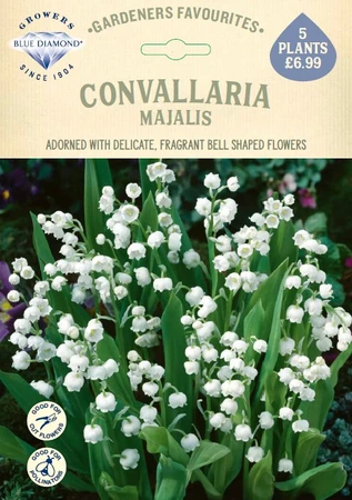 Convallaria Majalis