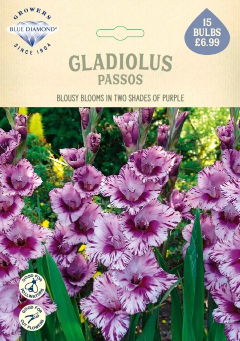 Gladioli Passos