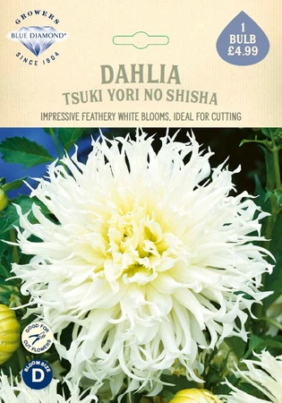 Dahlia Tsuki Yori No Shisha - image 1