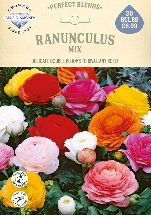 Ranunculus Mix - image 1