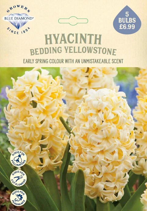 Hyacinth Bedding Yellowstone NE - image 1