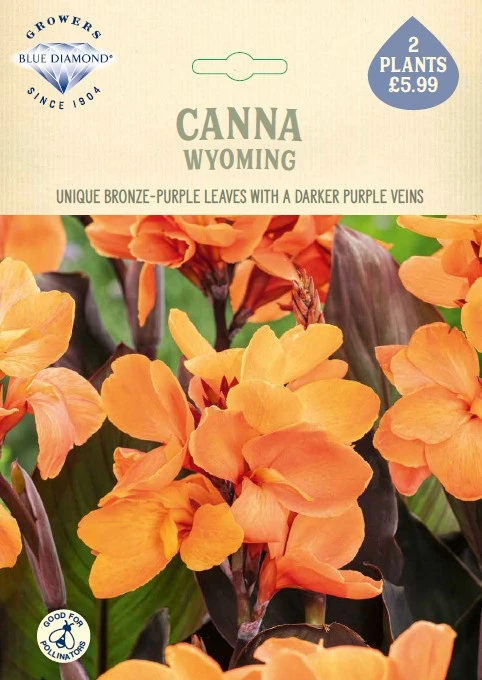 Canna Wyoming