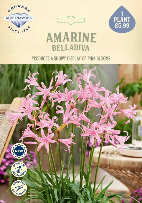 Amarina Belladiva