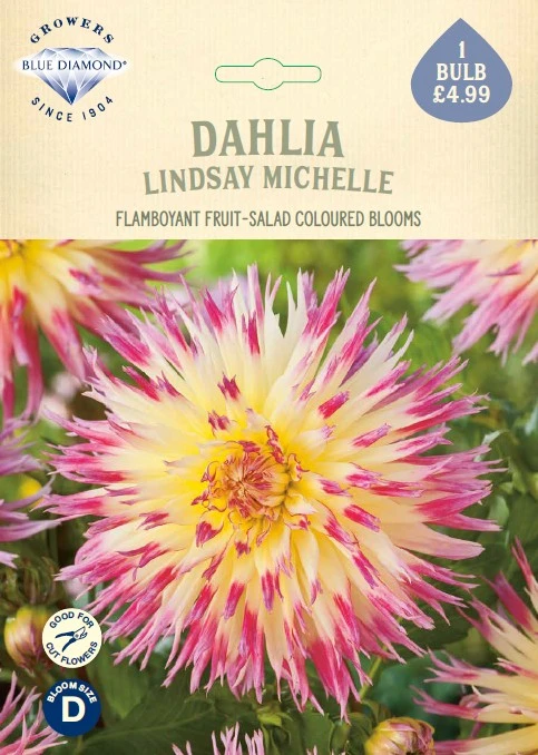 Dahlia Lindsay Michelle - image 1