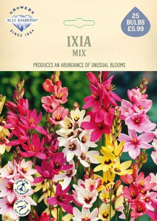 Ixia Mix