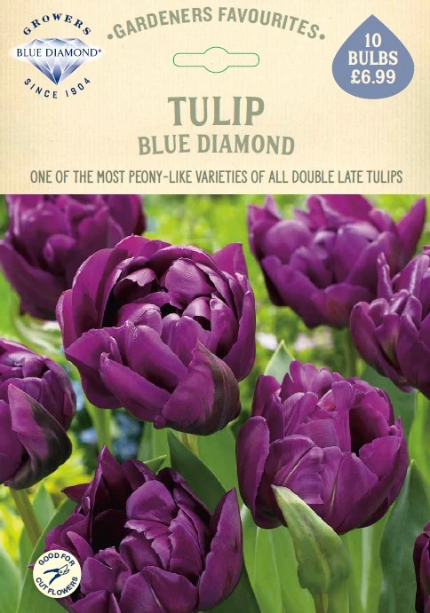 Tulip Blue Diamond GF - image 1
