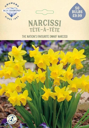 Narcissi Tete A Tete