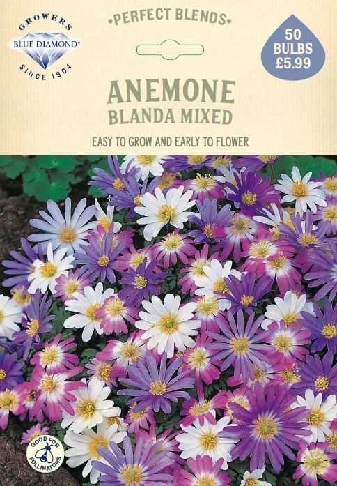 Anemone Blanda Mixed PBR - image 1