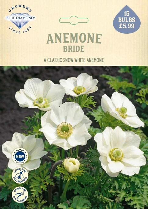 Anemone Bride
