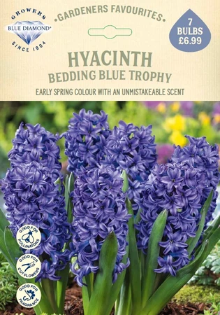 Hyacinth Bedding Blue Trophy GF