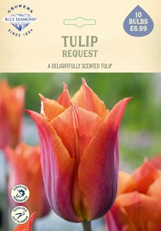 Tulip Request NE