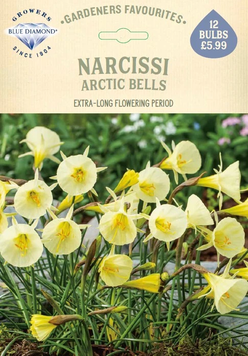 Narcissi Arctic Bells GF