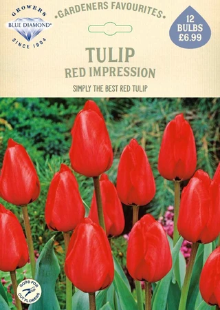 Tulip Red Impression GF
