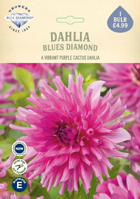 Dahlia Blues Diamond