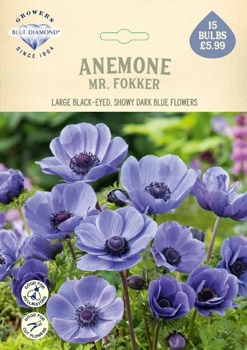 Anemone Mr. Fokker