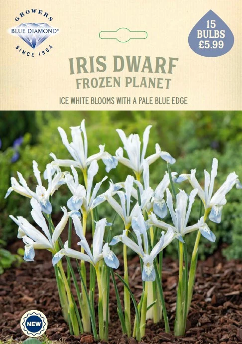 Iris Frozen Planet NE