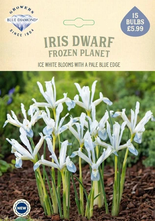 Iris Frozen Planet NE