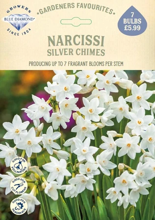 Narcissi Silver Chimes GF - image 1