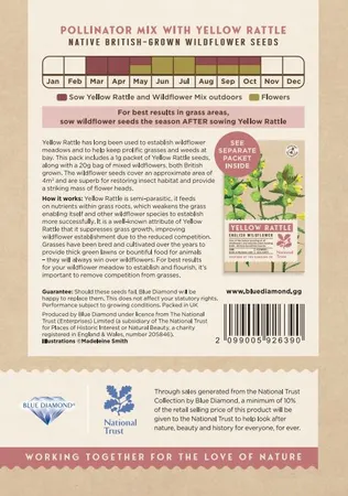Pollinators Wildflower Mix - image 2