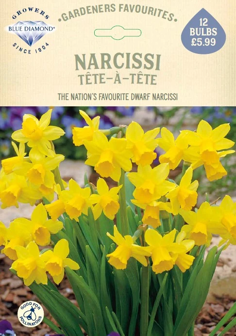 Narcissi Tete a tete GF