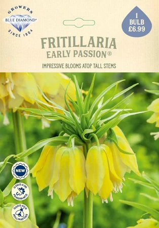 Fritillaria Early Passion NE