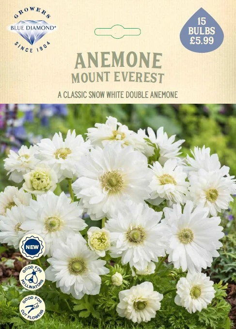 Anemone Mount Everest