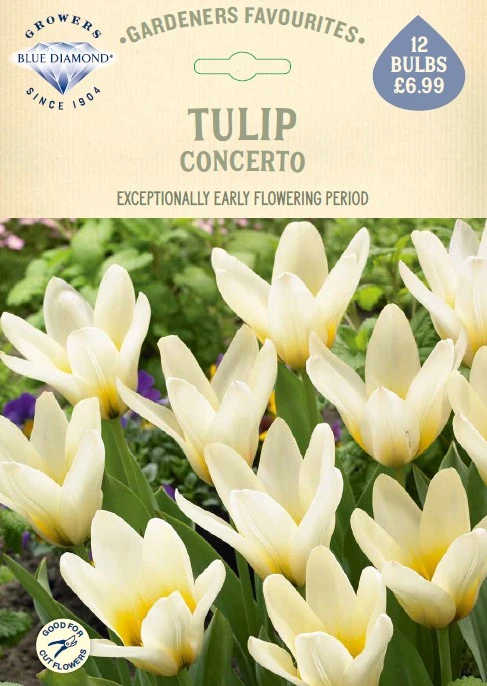 Tulip Concerto GF