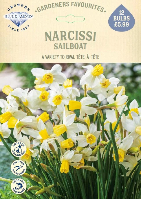 Narcissi Sailboat GF