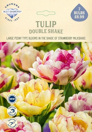 Tulip Double Shake NE