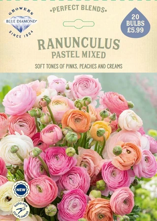 Ranunculus Pastel Mixed PBR