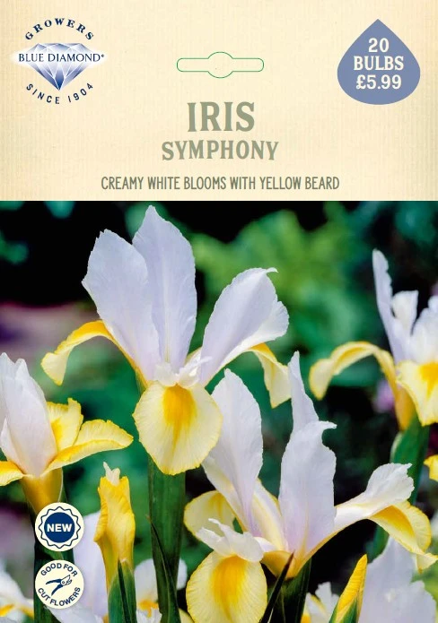 Iris Symphony NE