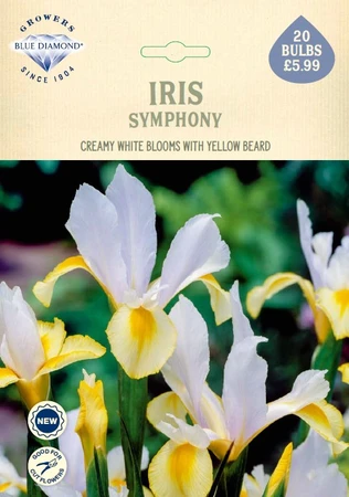 Iris Symphony NE